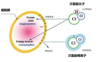 微酸性電解水次氯酸與84消毒液有什么不同，家用消毒效果對(duì)比如何？